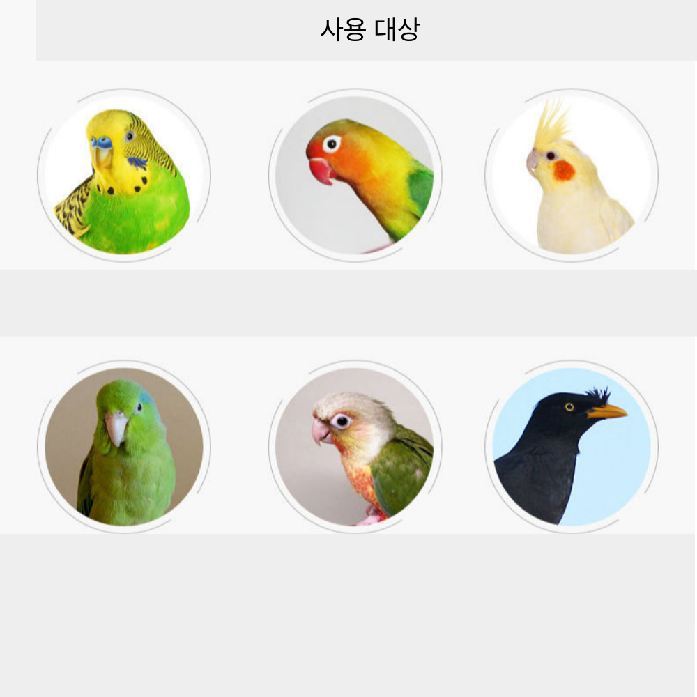 위드레오 바퀴 새 장난감 소동물 앵무새 - 상세 이미지 5