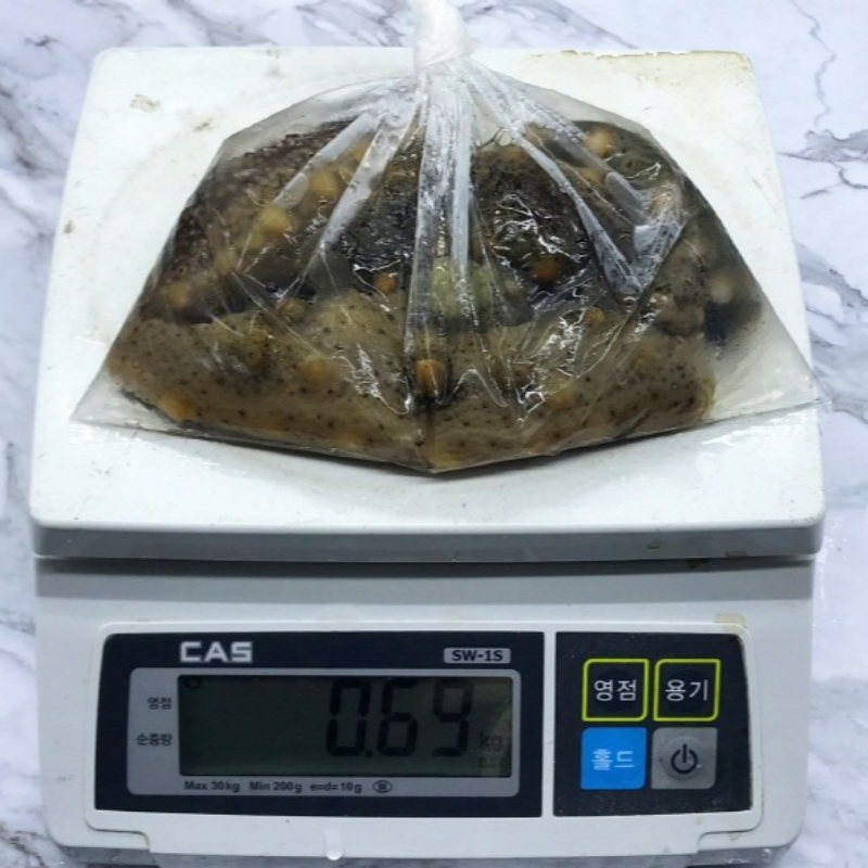 자연가득 바다의 산삼 연안 해삼 500g 5-8미 해수무게포함 이미지 6