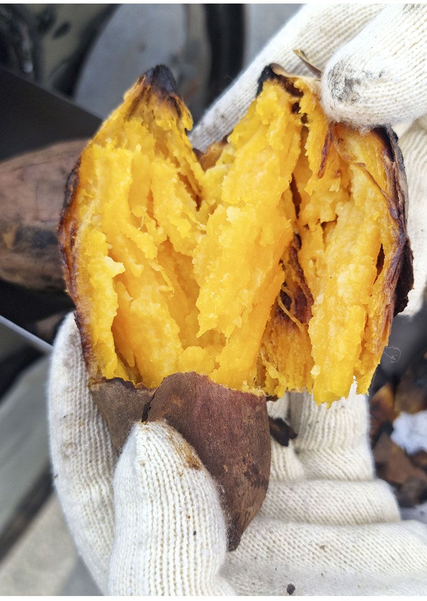 촉촉달콤 태안 안면도 호박고구마 중, 3kg, 1개 - 상세 이미지 4