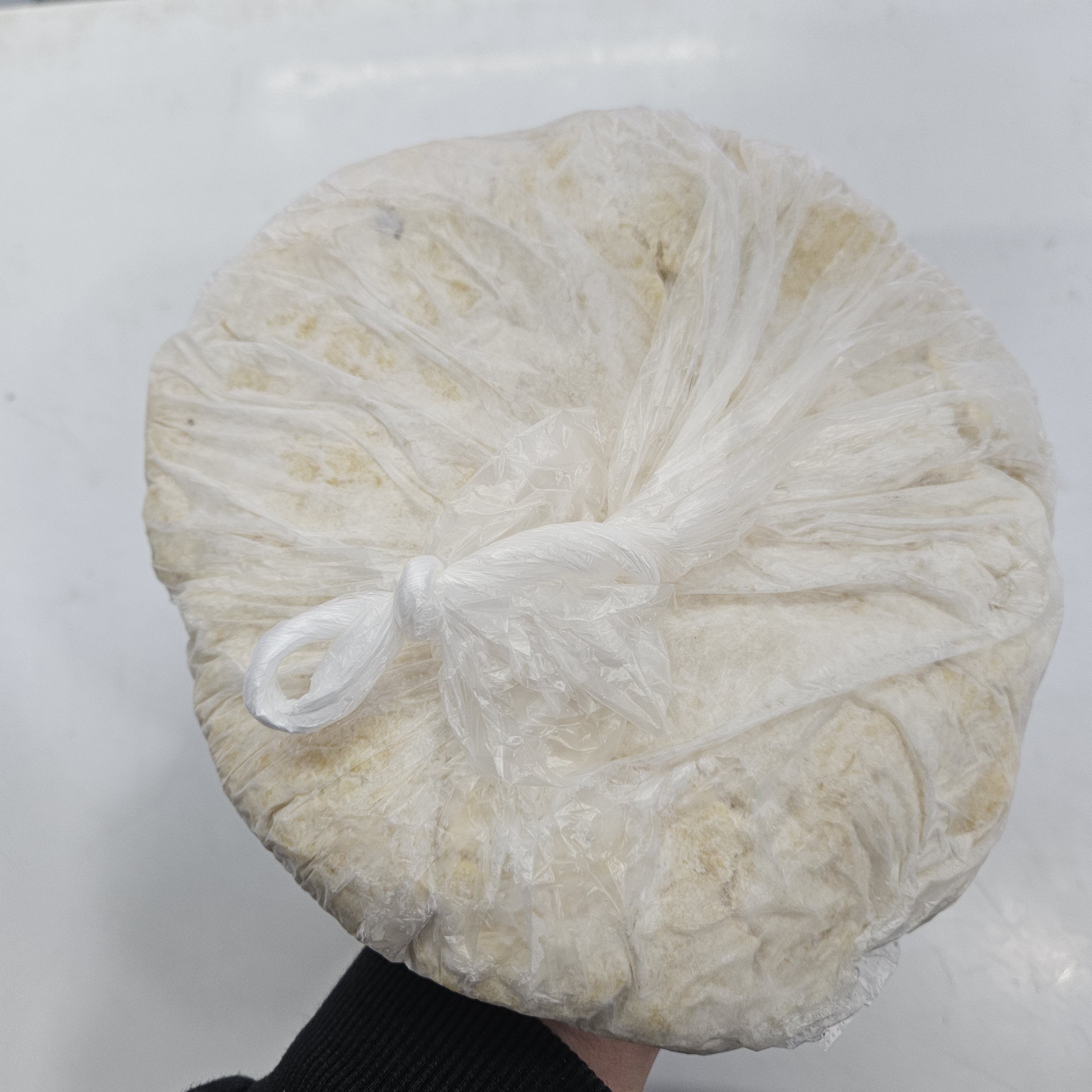 100% 국산콩 생비지 이미지 6