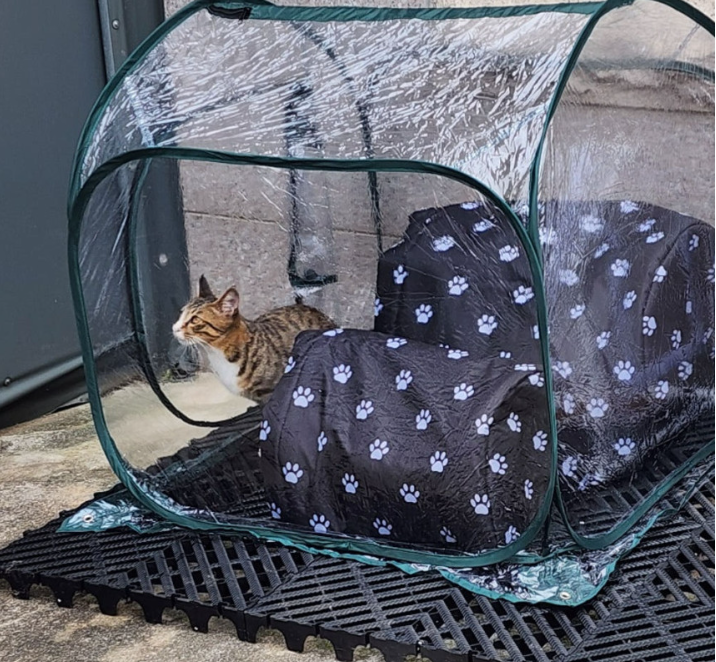 길고양이집 길냥이 급식소 실외 야외 고양이집 겨울집 하우스 소