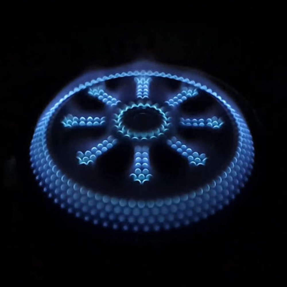 N.I.P 옥타곤이소 EX 그리들버너 강염 해바라기버너