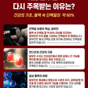 고함량 먹는 메가 알부민 단백질 알부민 120정 1+1개 맛있게 먹은 솔직 후기 - 상품 이미지 4