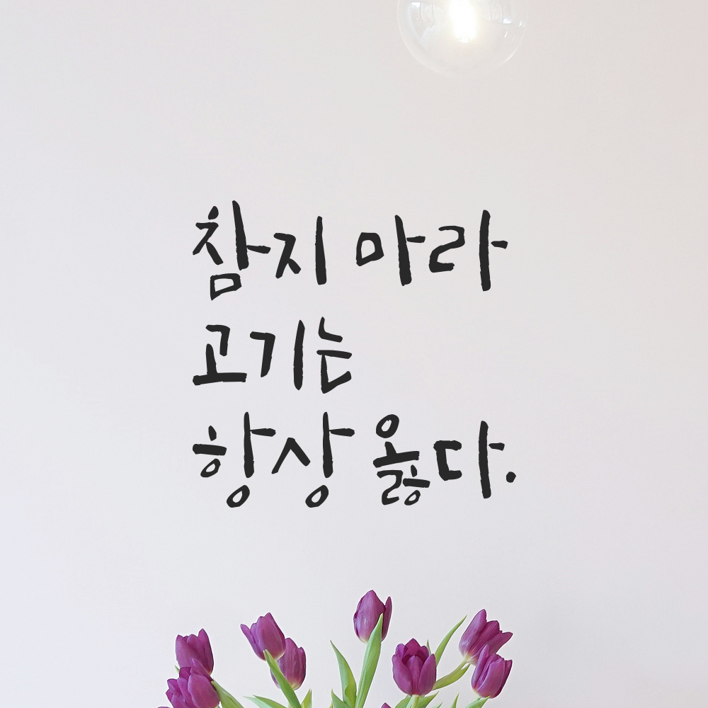 캘리그라피 레터링 스티커 참지 마라 고기는 항상 옳다 검정S 12.5x12cm 이미지 8
