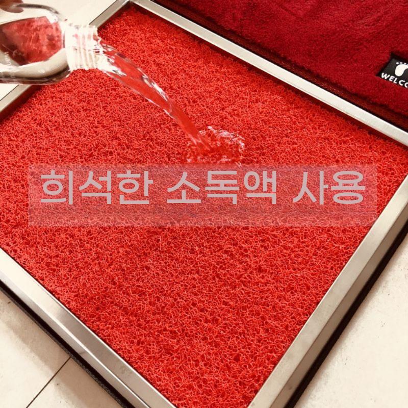 현관 먼지제거 발매트 입구 업소용 출입구 안전화 털이개 식당 사무실 모래 흙 털이기 - 상세 이미지 4