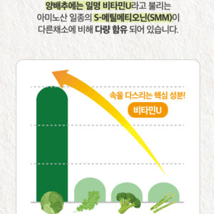국산 양배추정 양배추환 비타민U 캐비지 90정 1+1개 맛있게 먹은 솔직 후기 - 상품 이미지 4