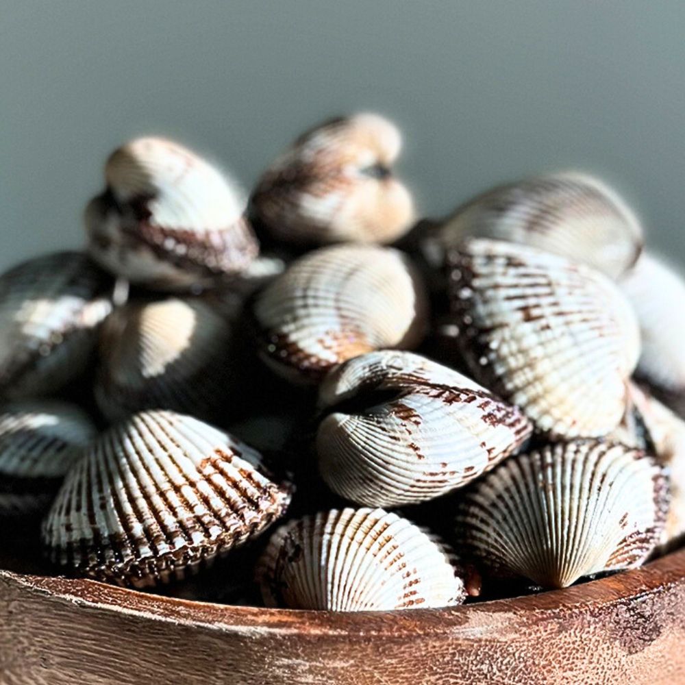 당일조업 벌교 제철꼬막 새꼬막 선별 세척 특품 1kg 2kg - 상세 이미지 2