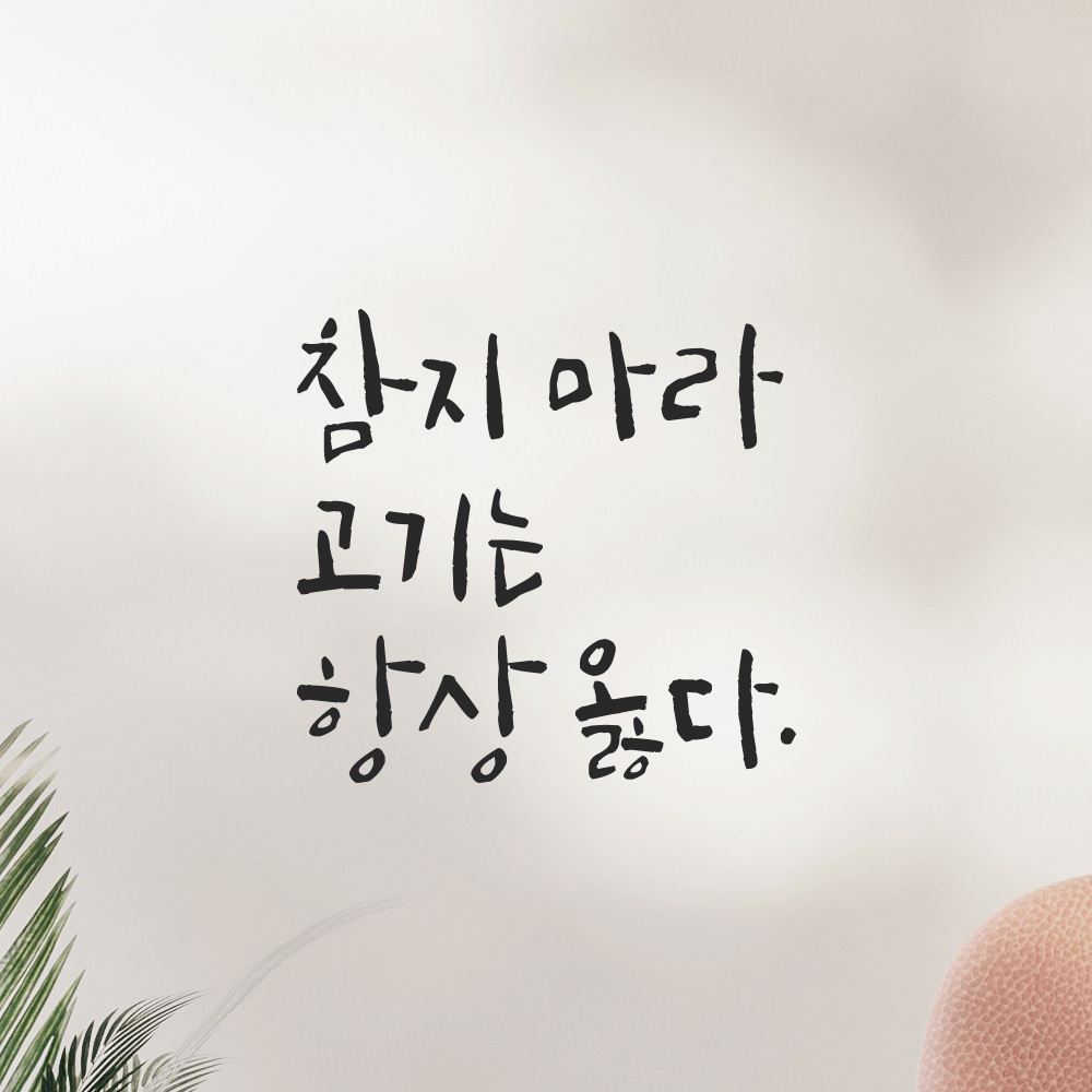 캘리그라피 레터링 스티커 참지 마라 고기는 항상 옳다 검정S 12.5x12cm - 상세 이미지 2