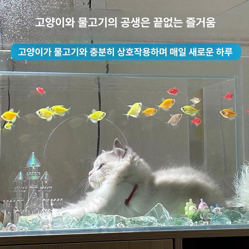 고양이 어항 투명 터널 수조 관상용 - 상세 이미지 3