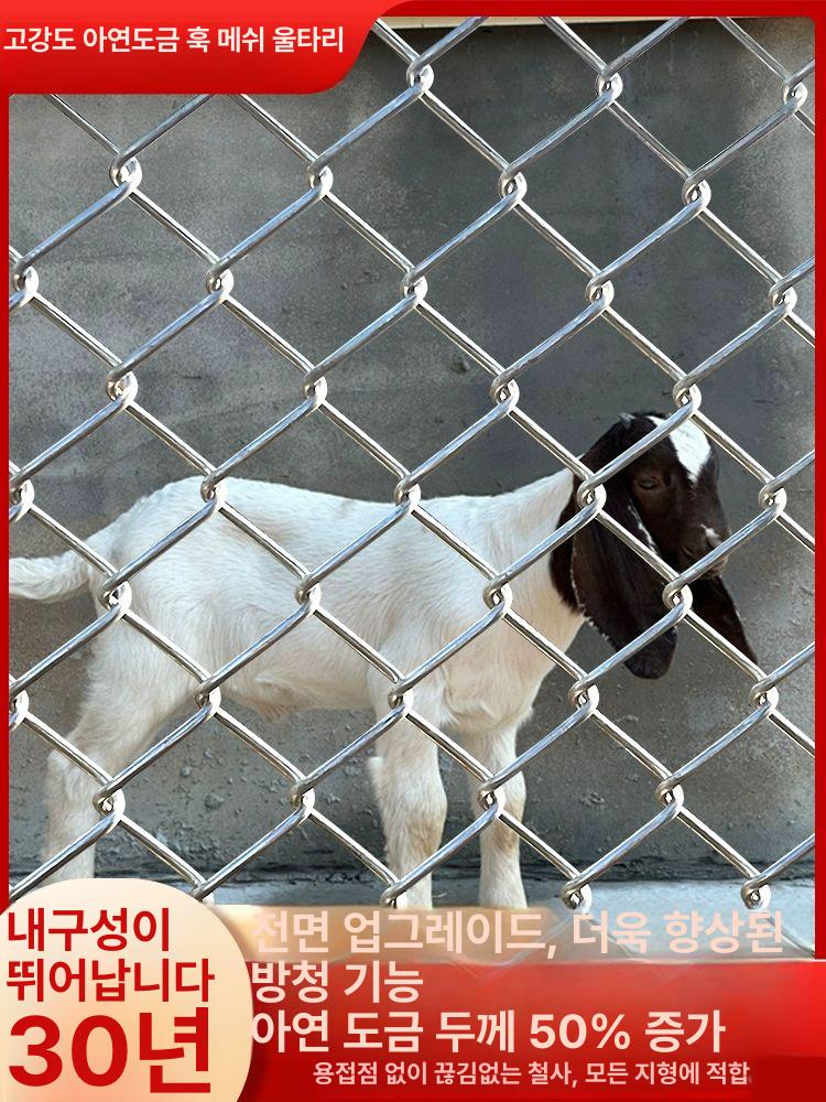 아연 도금 철망 울타리 사육장 철조망 메쉬 녹 방지 30m 높이 2m - 메인 이미지
