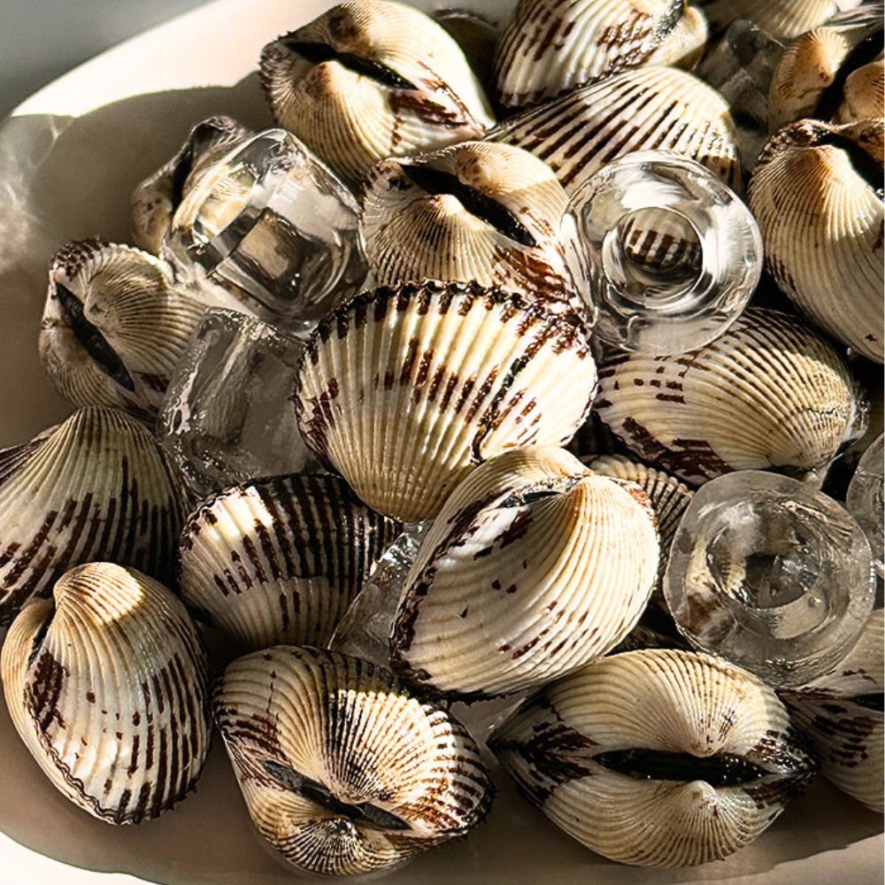 당일조업 벌교 제철꼬막 새꼬막 선별 세척 특품 1kg 2kg - 상품 이미지