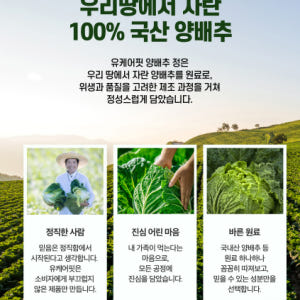 국산 양배추정 양배추환 비타민U 캐비지 90정 1+1개 맛있게 먹은 솔직 후기 - 상품 이미지 2