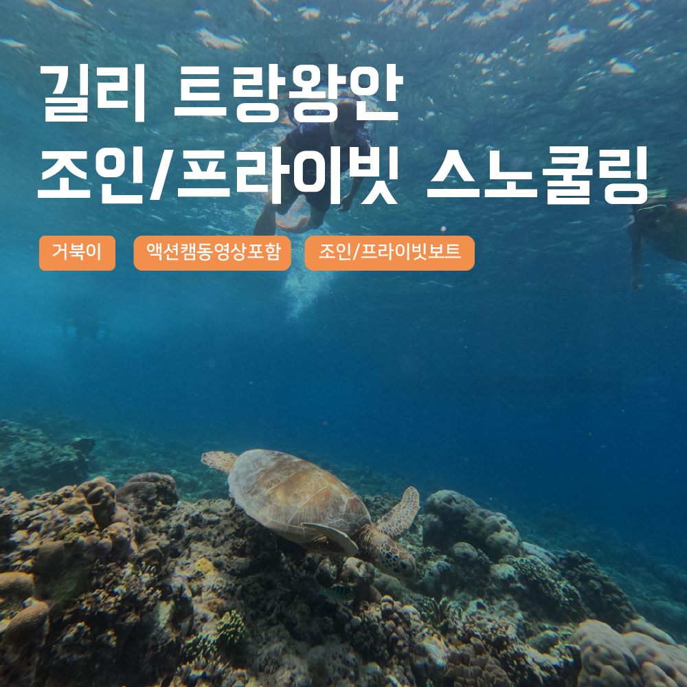 [발리] 길리 거북이 스노쿨링 해양 액티비티 액션캠 트라왕안 메노 터틀포인트 동상포인트 - 상품 이미지