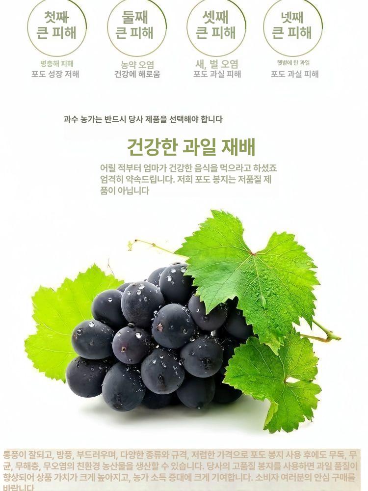 과일 망사 봉지 포도 메쉬 주머니 사과 그물망 작물 복숭아 포장지 봉투 싸개 - 상세 이미지 3