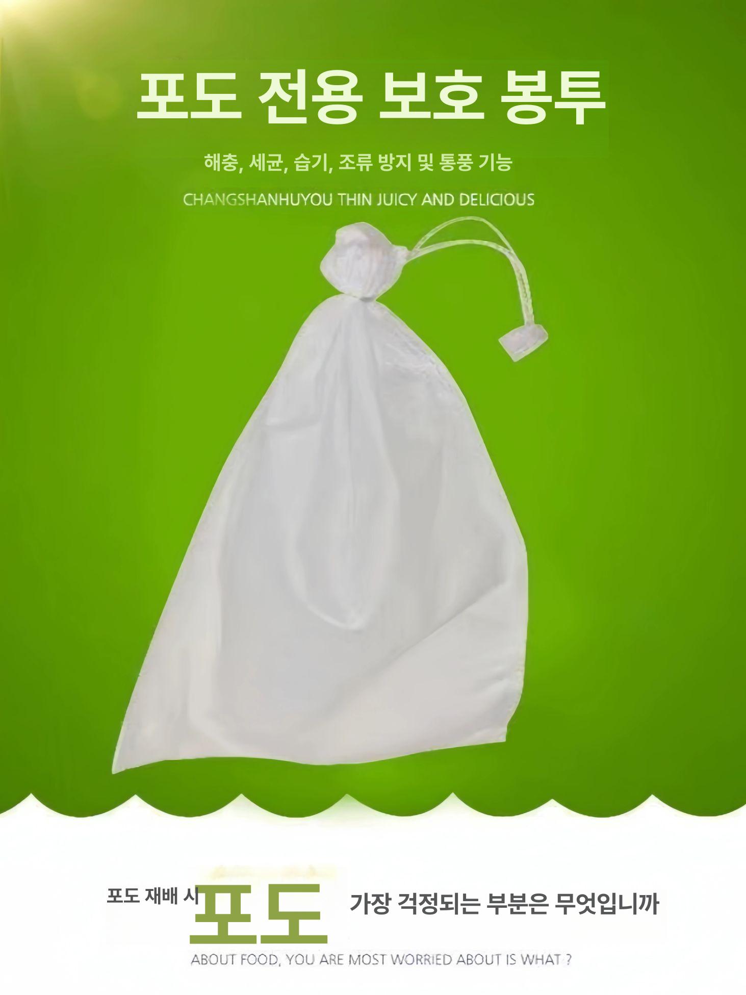 과일 망사 봉지 포도 메쉬 주머니 사과 그물망 작물 복숭아 포장지 봉투 싸개 - 메인 이미지