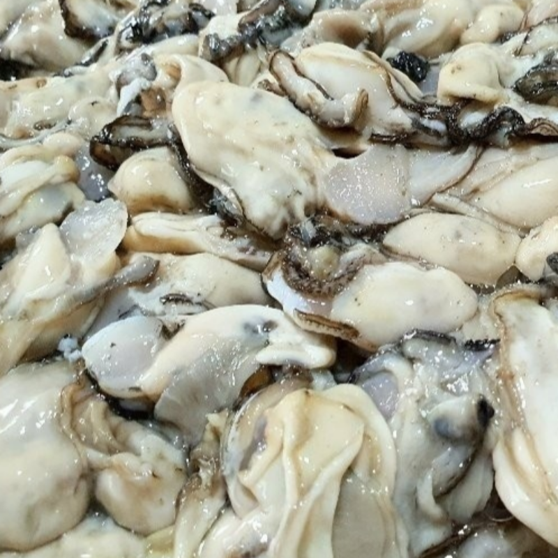 자연가득 생굴 83%함유 생굴무침 500g 굴깍두기 1kg - 상세 이미지 5