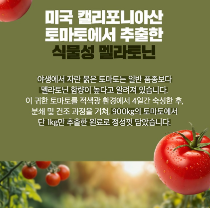 미국 식물성 멜라토닌 2mg 솔솔앤 타트체리 멜라토닉 효능 1+1개 이미지 7