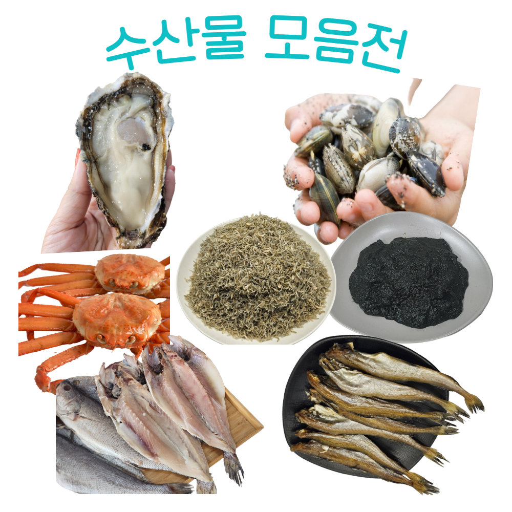 수산물 모음전-하프쉘 지리멸치 홍합 가자미 노가리 매생이 흑고동 민물장어 술안주 밑반찬 - 메인 이미지