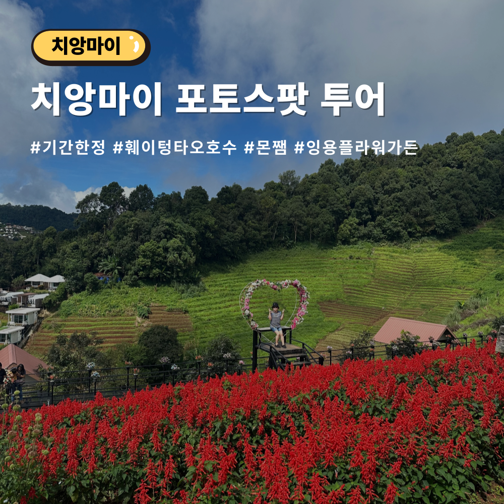 [9월~1월 한정] 포토스팟 투어 훼이텅타오+몬쨈+잉용플라워가든 - 상품 이미지