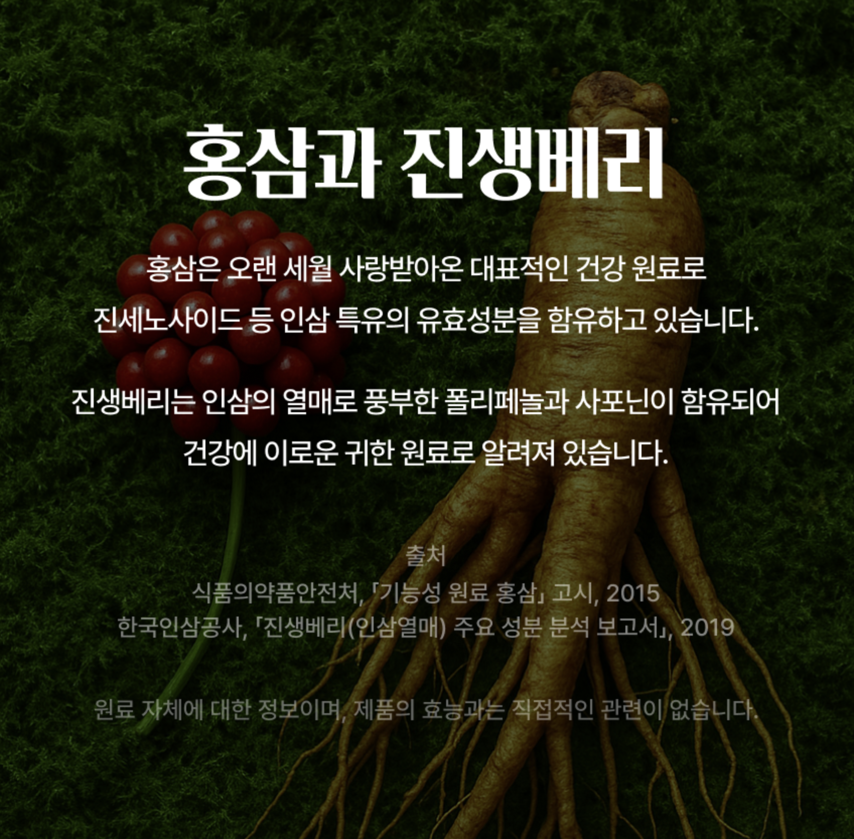 하루홍삼스틱 전녹용홍삼 추출액 면역력 홍삼갱년기 REDGINSENG 50포, 1개 이미지 7