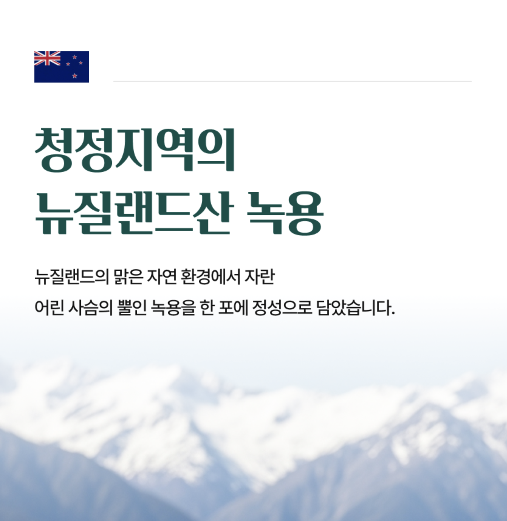 짜먹는 좋은홍삼 달임 흑삼스틱 청소년녹용 - 상세 이미지 4