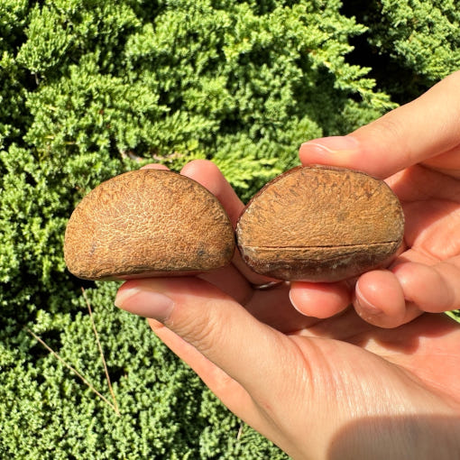 thumbnail-4