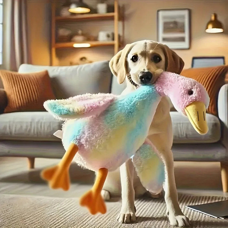 레인보우 오리 인형 강아지장난감 인형 놀이용품 장난감 2colors 레인보우 - 메인 이미지