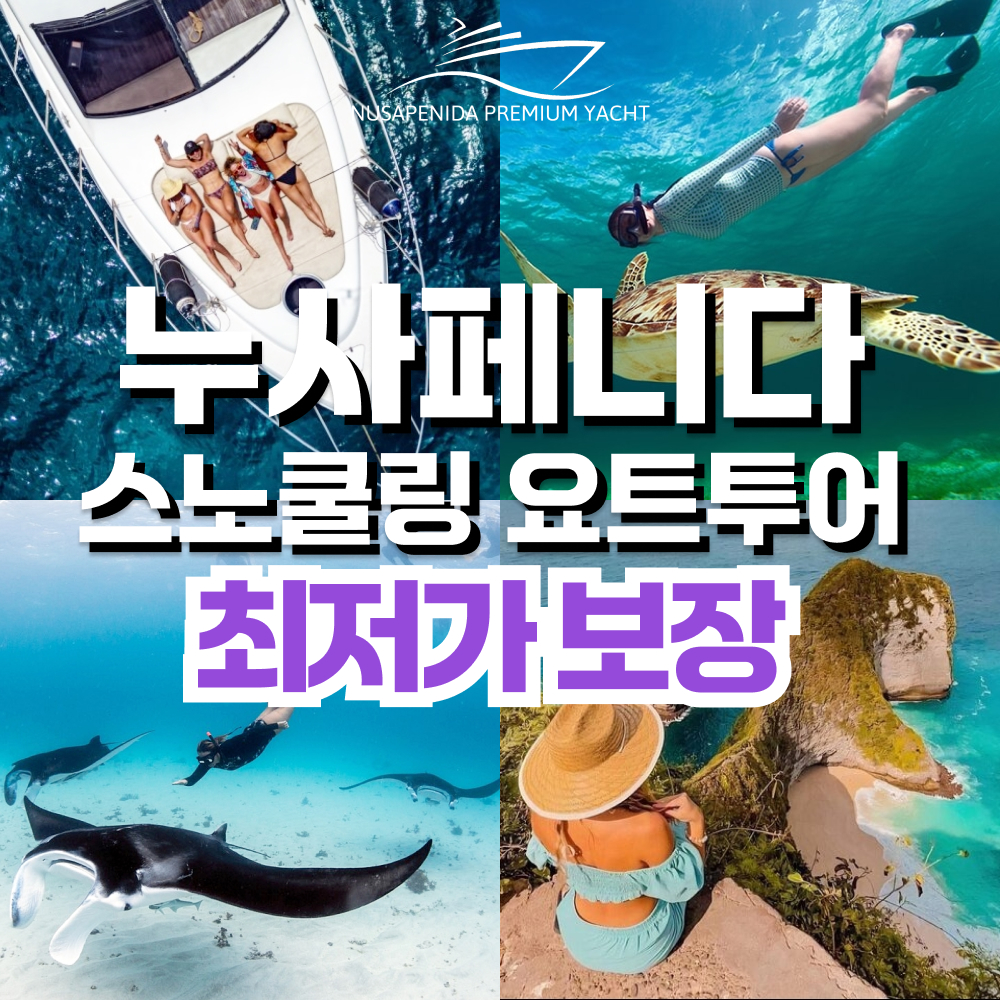 발리 누사페니다 투어 프리미엄 요트 스노쿨링 일일 데이 투어 만타 가오리 바다거북 - 상품 이미지