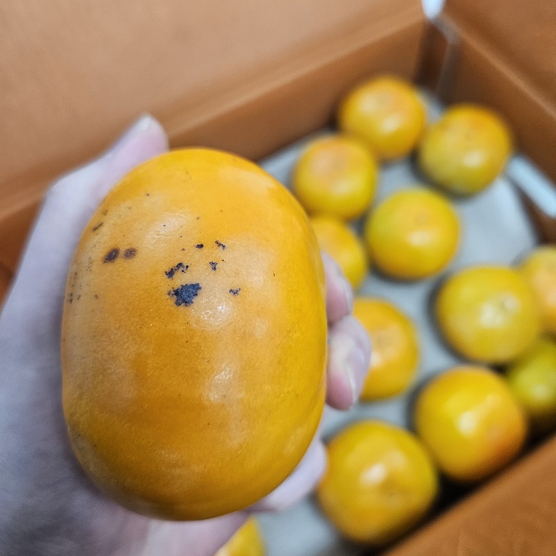 아삭한 부유단감 중과 3kg - 상세 이미지 5