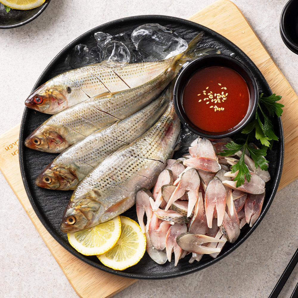 국내산 제철 활 전어 1kg(내장손질/전어회/구이용/초무침용 옵션 선택가능) - 상세 이미지 3