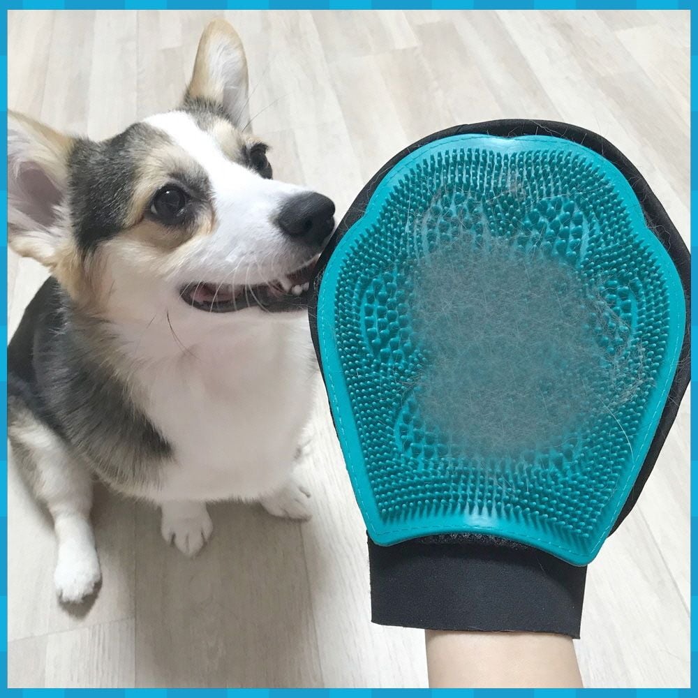 개 고양이 털정리 장갑 - 상품 이미지