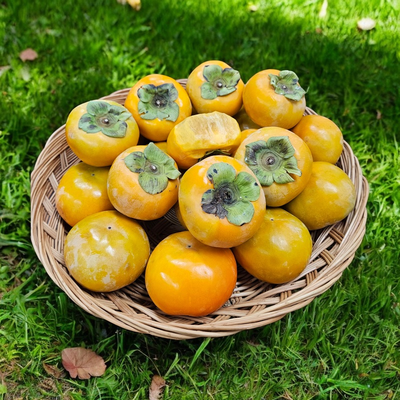아삭한 부유단감 중과 3kg - 상세 이미지 4