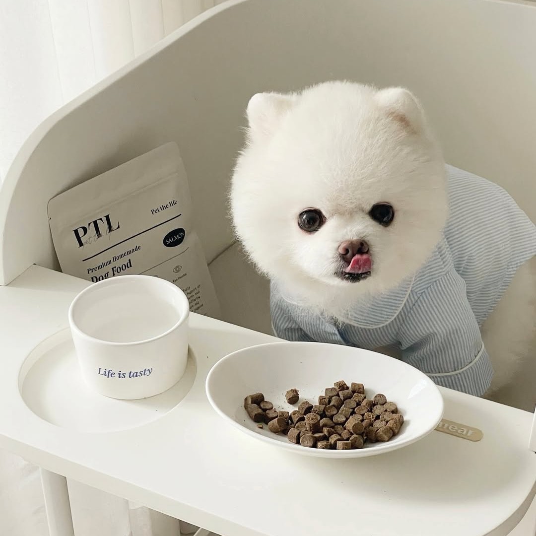 펫더라이프 강아지 노견 소프트 사료 말티즈 푸들 비숑 연어. 1kg, 1개 - 상세 이미지 2