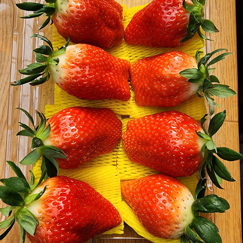국내산 킹스베리 딸기 가정 특 왕특 고당도 대과 350g 400g 산지직송 이미지 7