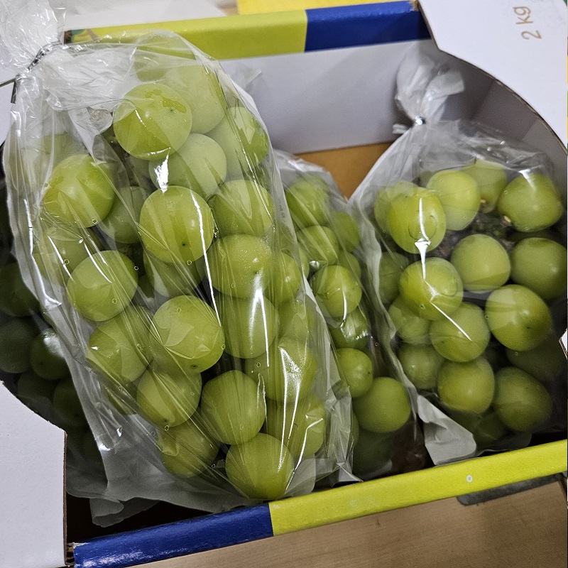 달달하게 맛난 샤인머스켓 - 상세 이미지 2