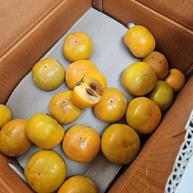 아삭한 부유단감 중과 3kg - 상세 이미지 3