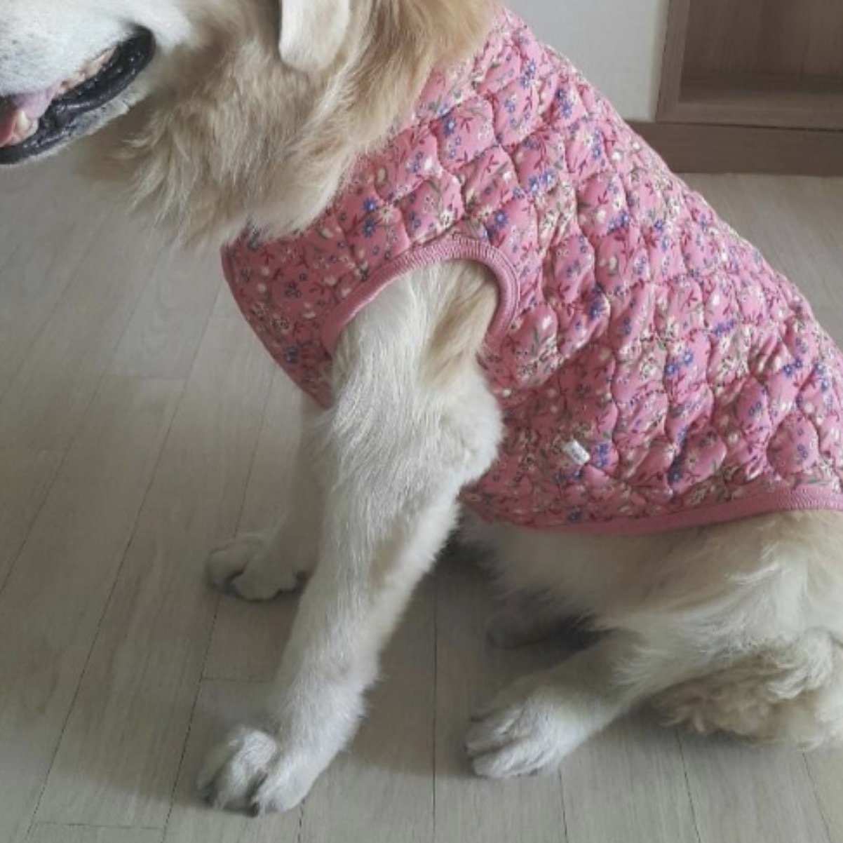 애견깔깔이조끼 대형견겨울조끼 퀼팅 강아지조끼