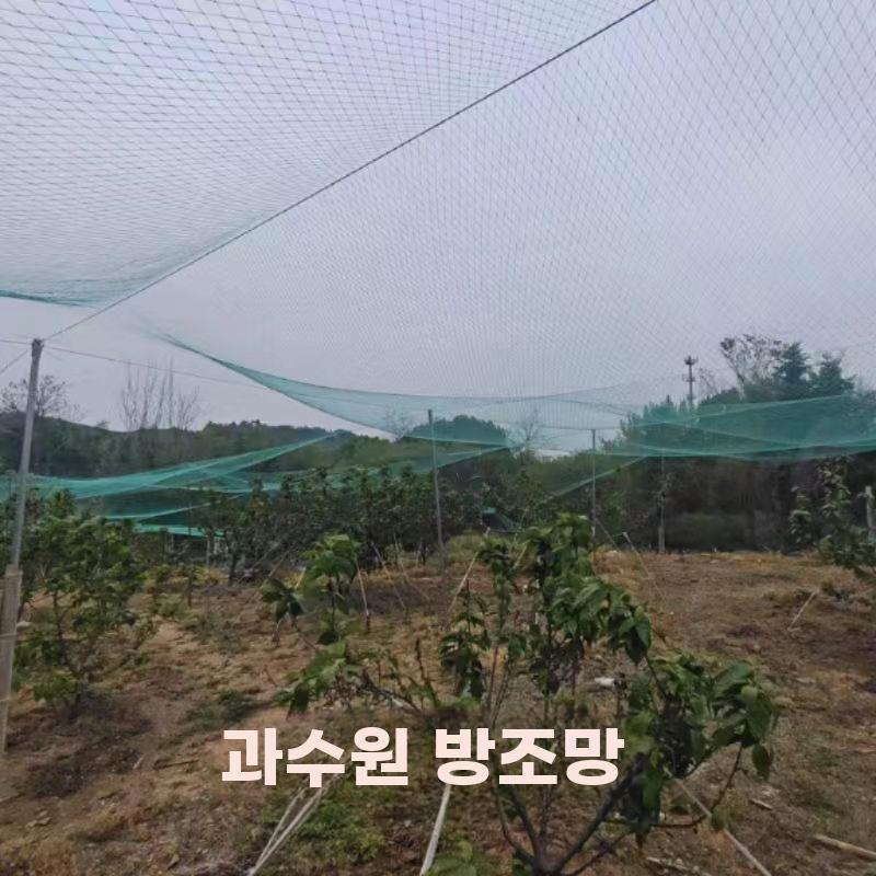두꺼운 나일론 방조망 과수원 새 방지 농장 보호망 - 상세 이미지 3