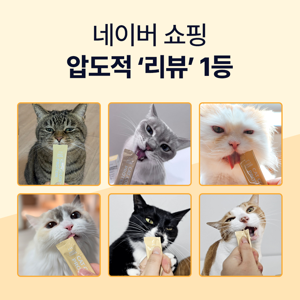 닥터바이 캣초유프로틴 고양이 단백질 근력개선 면역력 영양제 30포, 1개