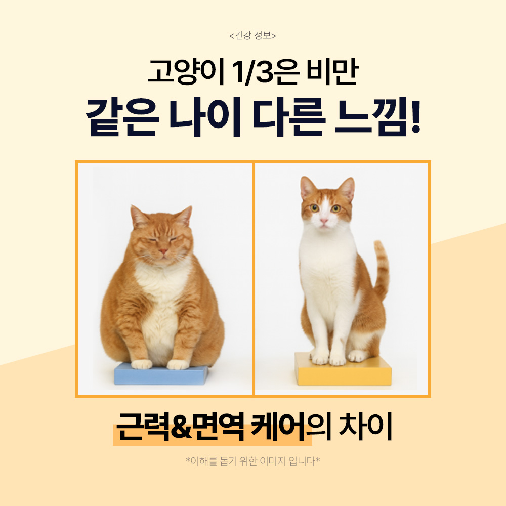 닥터바이 캣초유프로틴 고양이 단백질 근력개선 면역력 영양제 30포, 1개