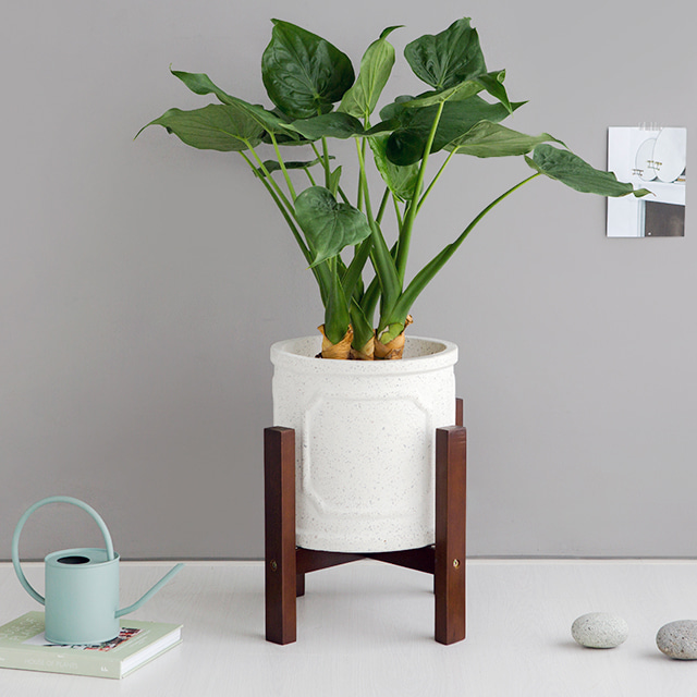 FLOWERPOT 화분받침 D40 2293.3507 - 상품 이미지