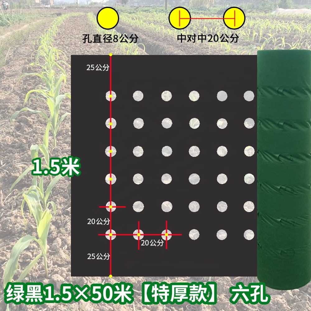농업용 부직포 매트 상추 냉해 방지 월동 덮개 마늘 1.5x50m 6공 이미지 6