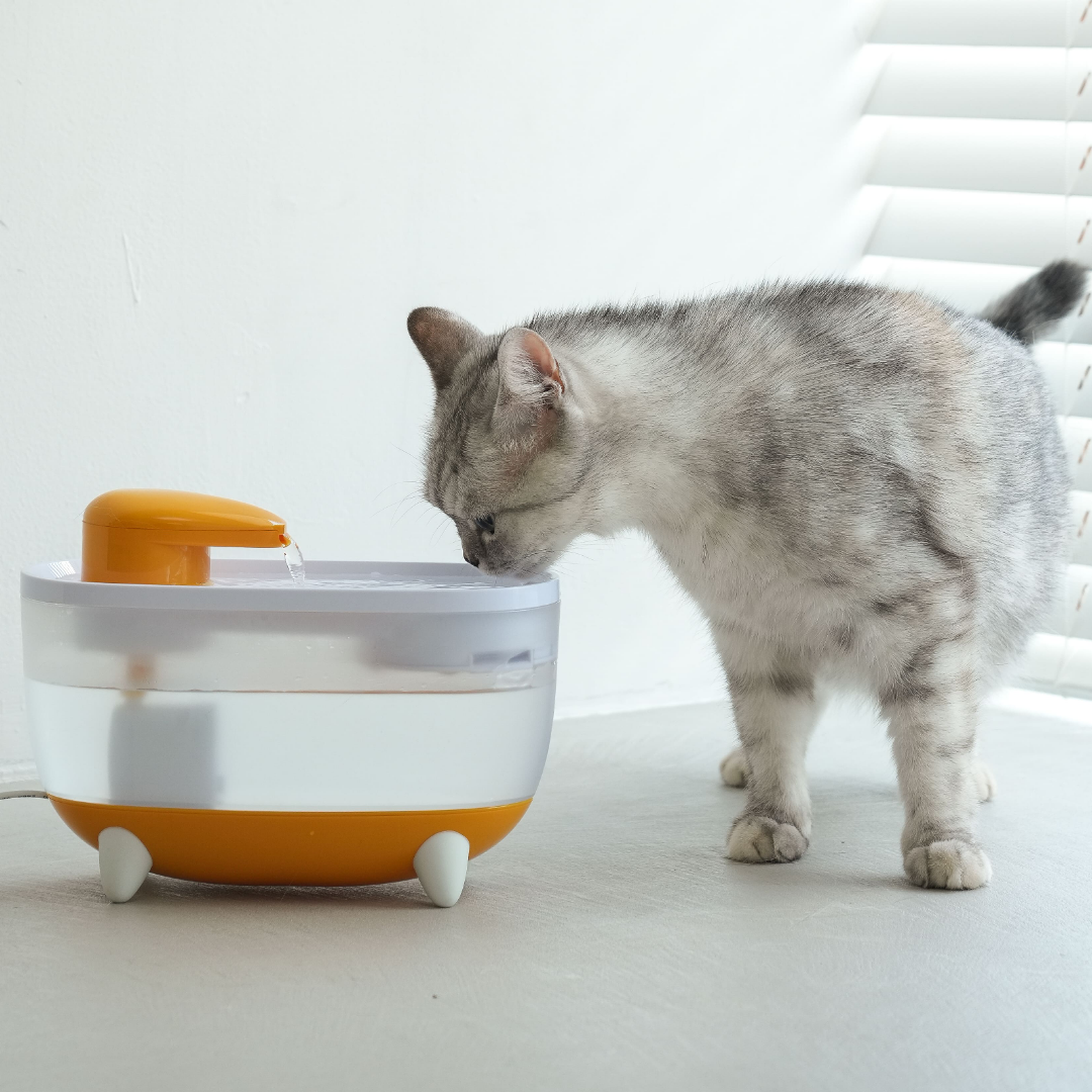 캣디피 프레시워터 UV살균 고양이 정수기 급수기 CATDP 음수대 물그릇 수돗물 물 많이 음수량 늘리기 제품 이미지