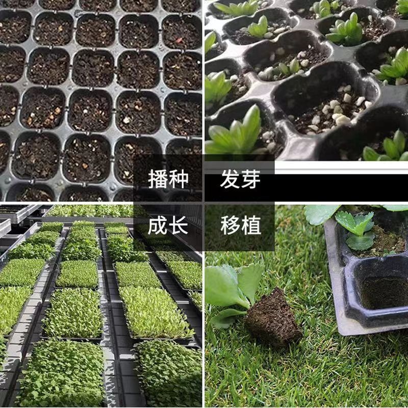 깊은 모종트레이 육모판 육묘 모판 농업 재배 화분 묘목 21구멍 100g 깊은 모종 300매 이미지 6