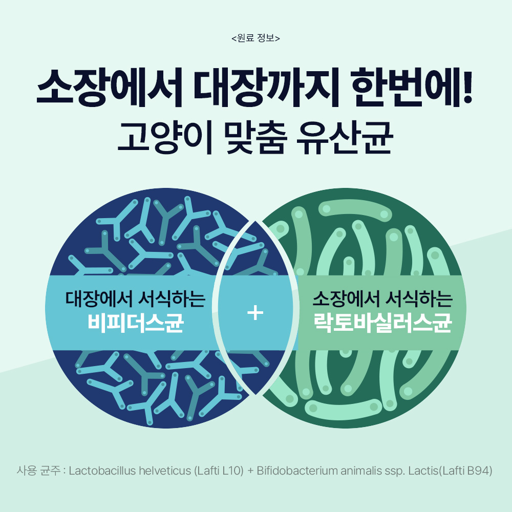 닥터바이 캣 프로바이오틱스 고양이 유산균 장 건강 영양제 30포, 1개