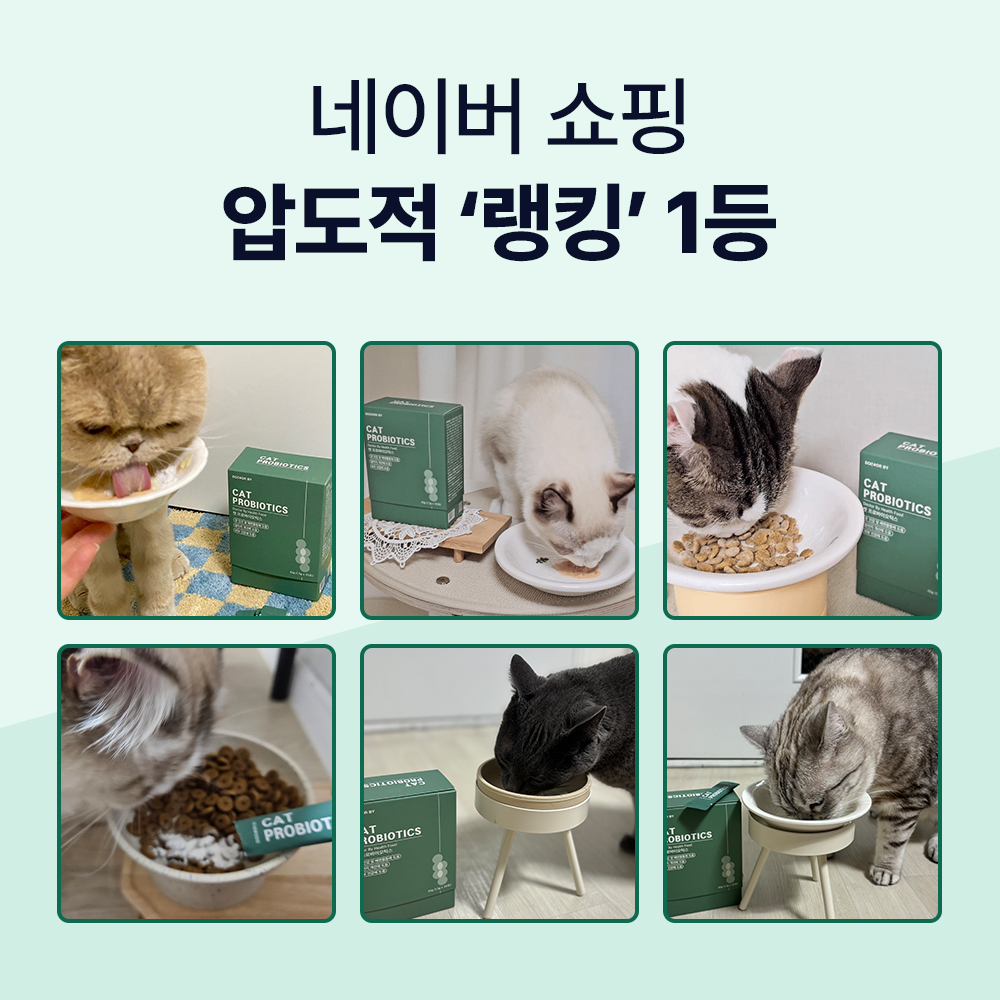 닥터바이 캣 프로바이오틱스 고양이 유산균 장 건강 영양제 30포, 1개