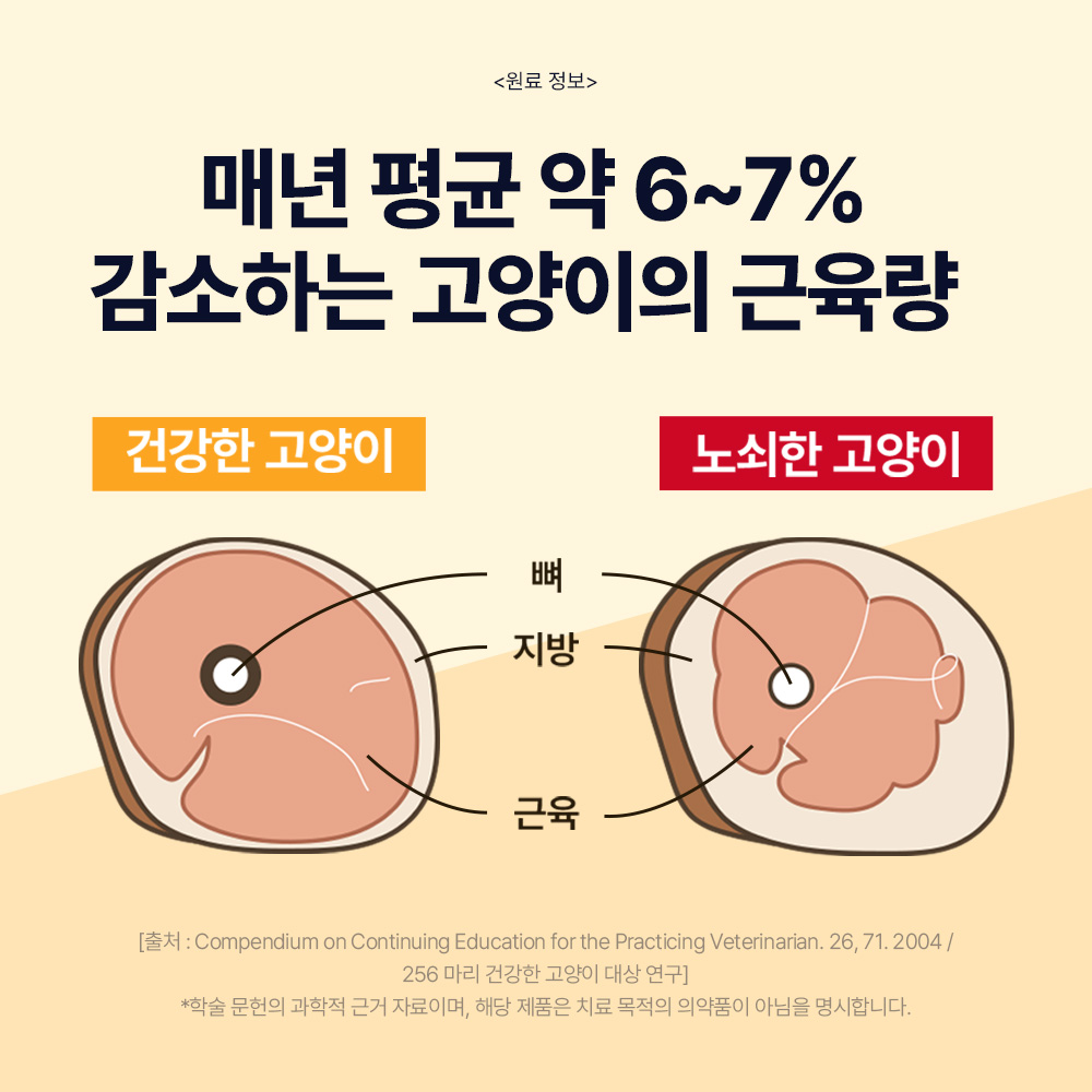 닥터바이 캣초유프로틴 고양이 단백질 근력개선 면역력 영양제 30포, 1개