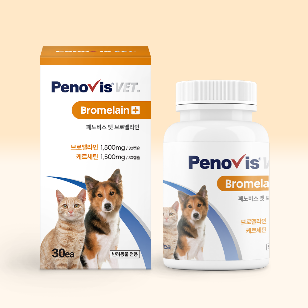 페노비스 강아지 기관지 영양제 기침 면역 호흡기 협착증 켁켁거림 30캡슐, 1개 제품 이미지