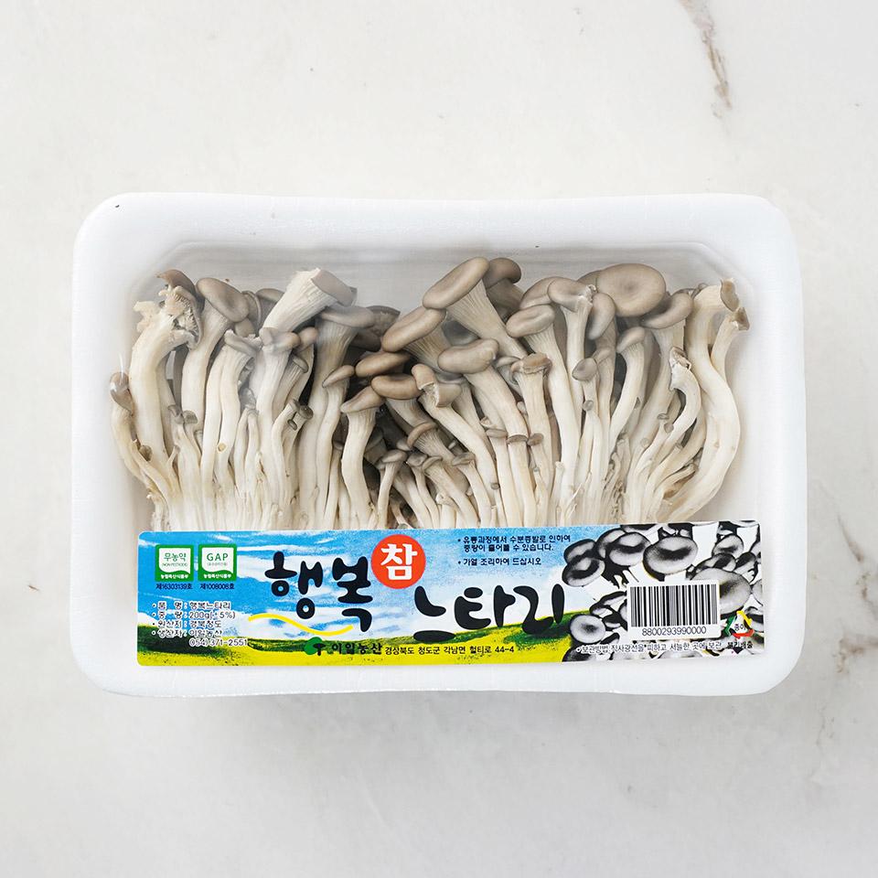 메가마트 느타리버섯 기획 팩 - 메인 이미지