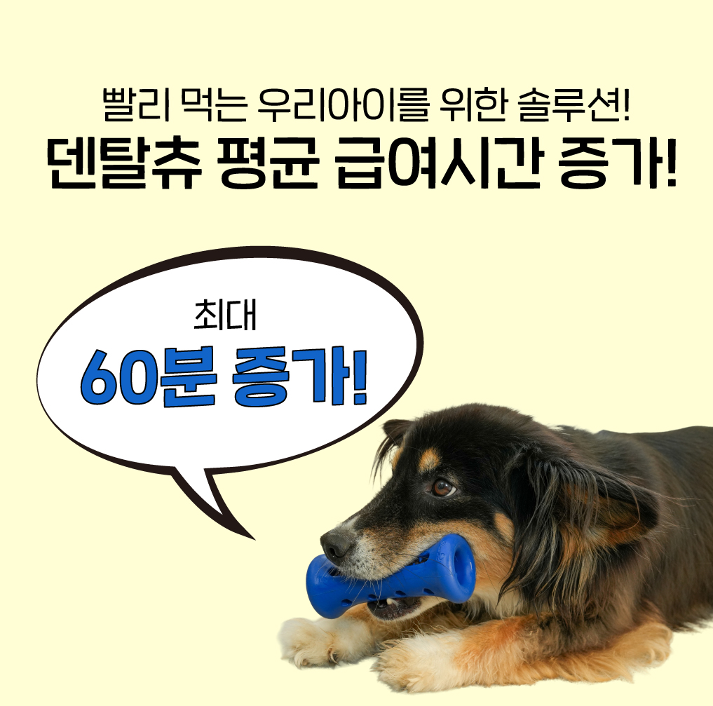 1시간 노즈워크 장난감 오래먹는 덴탈츄 부스터, 1개